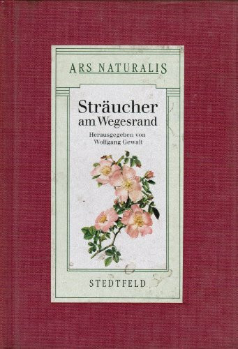 Sträucher am Wegesrand