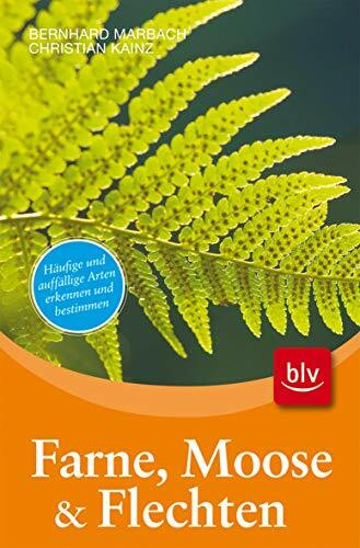 Farne, Moose & Flechten: Häufige und auffällige Arten erkennen und bestimmen