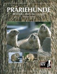 Präriehunde