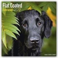 Flat-Coated Retrievers 2022 - 18-Monatskalender mit freier DogDays-App