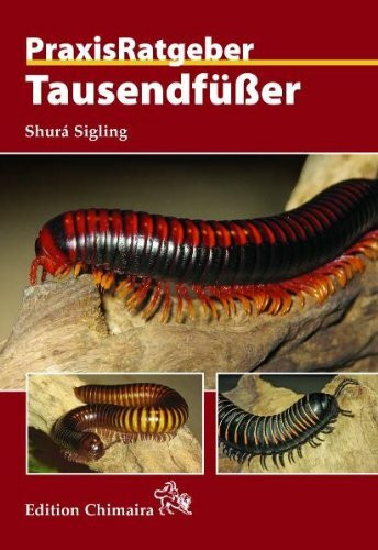 Tausendfüßer