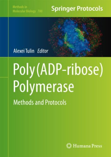 Poly(ADP-ribose) Polymerase: Methods and Protocols (Methods in Molecular Biology, 780, Band 780)