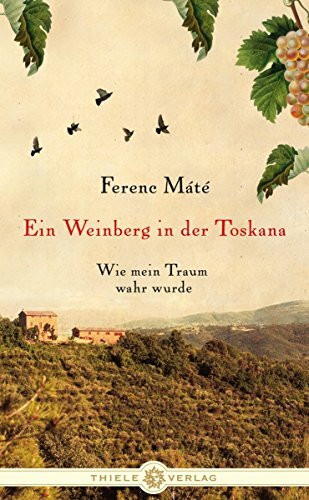 Ein Weinberg in der Toskana: Wie mein Traum wahr wurde