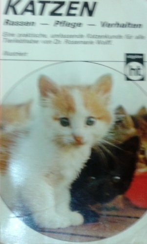 Katzen