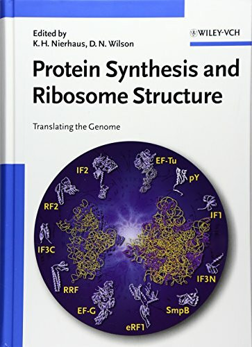 Protein Synthesis and Ribosome Structure: Translating the Genome