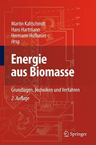 Energie aus Biomasse: Grundlagen, Techniken und Verfahren