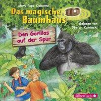 Den Gorillas auf der Spur