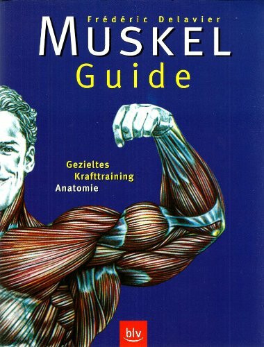 Muskel-Guide. Gezieltes Krafttraining - Anatomie