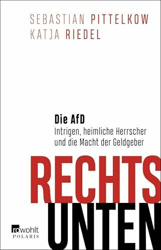 Rechts unten: Die AfD: Intrigen, heimliche Herrscher und die Macht der Geldgeber