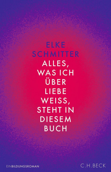 Alles, was ich über Liebe weiß, steht in diesem Buch: Einbildungsroman