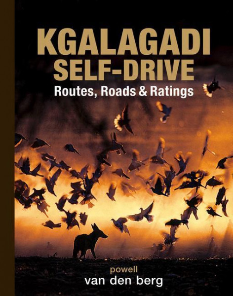 Kgalagadi Self-drive