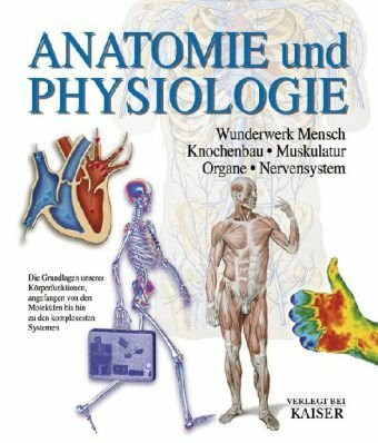 Anatomie und Physiologie: Wunderwerk Mensch - Knochenbau - Muskulatur - Organe - Nervensystem: Wunderwerk Mensch - Knochenbau - Muskulatur - Organe - ... bis hin zu den komplexesten Systemen