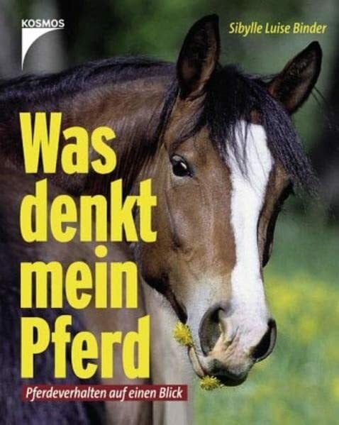 Was denkt mein Pferd?