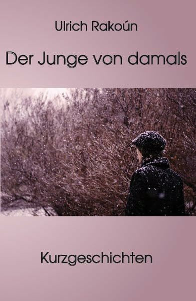 Der Junge von damals - Kurzgeschichten