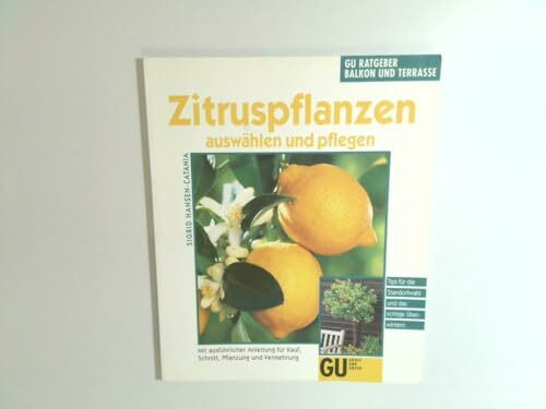 Zitruspflanzen auswählen und pflegen