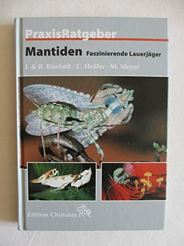 Mantiden: Faszinierende Lauerjäger