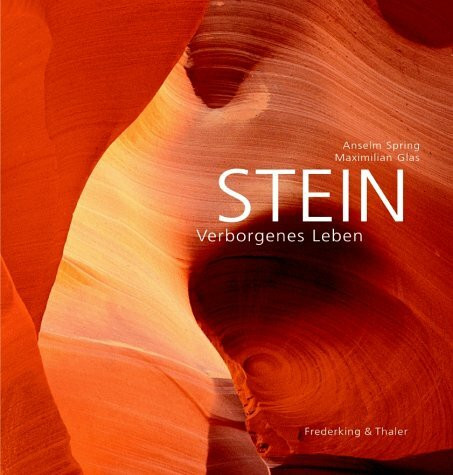 Stein: Verborgenes Leben