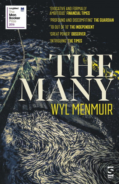 The Many (Salt Modern Fiction)