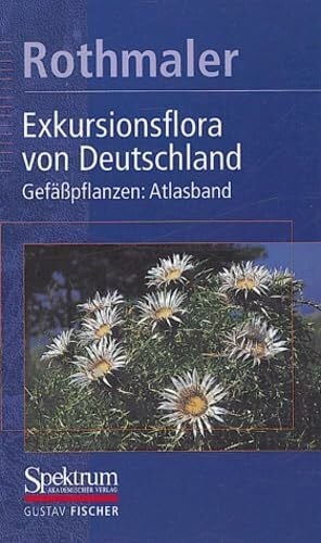 Exkursionsflora von Deutschland, 4 Bde., Bd.3, Gefäßpflanzen, Atlasband: Band 3 : Gefässpflanzen : Atlasband