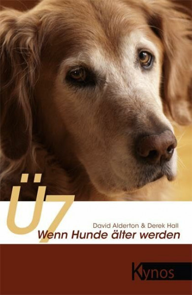 Ü7: Wenn Hunde älter werden