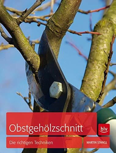 Obstgehölzschnitt: Die richtigen Techniken (BLV Gartenpraxis)