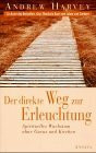 Der direkte Weg zur Erleuchtung