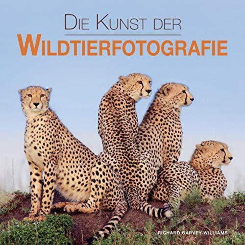 Die Kunst der Wildtierfotografie Die Kunst der Wildtierfotografie