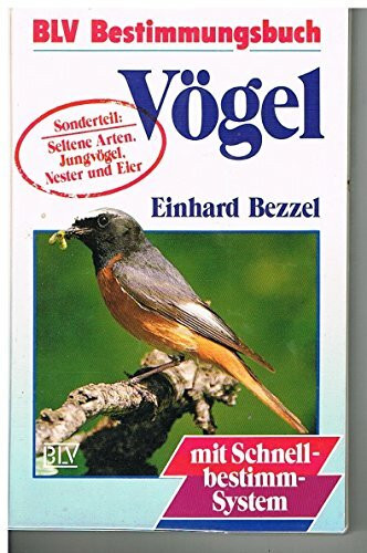 Vögel