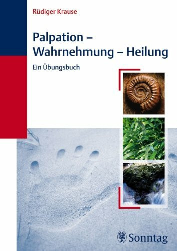 Palpation - Wahrnehmung - Heilung: Ein Übungsbuch