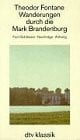 Wanderungen durch die Mark Brandenburg 3: Fünf Schlösser . Nachträge . Anhang – Mit einem Nachwort herausgegeben von Helmuth Nürnberger (dtv Literatur)