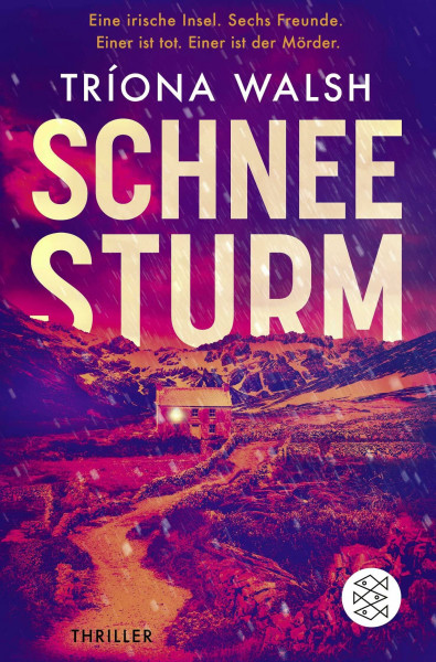Schneesturm: Thriller | Kein Entkommen von der eisigen Insel