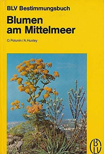 Blumen am Mittelmeer