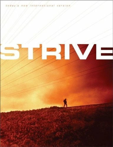 Strive: The Bible For Men-Becoming The Man Christ Wants You To Be (Today's New International Version)