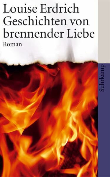 Geschichten von brennender Liebe: Roman (suhrkamp taschenbuch)