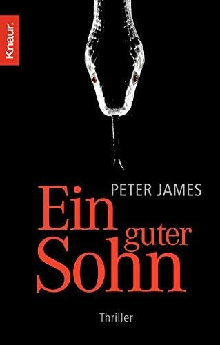 Ein guter Sohn: Thriller