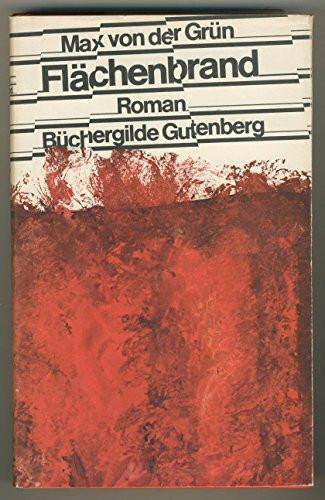 Flächenbrand. Roman