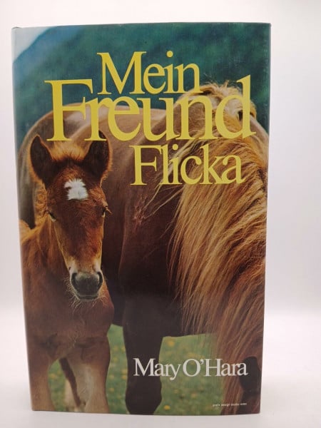 Mein Freund Flicka