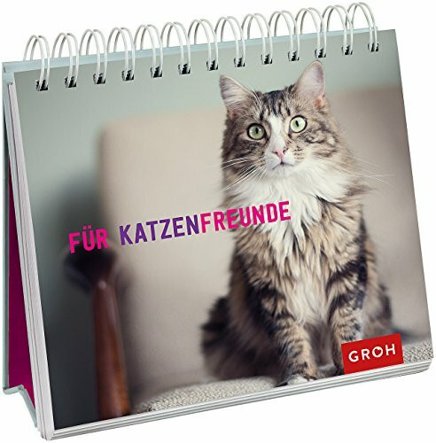 Für Katzenfreunde: Spiralaufsteller