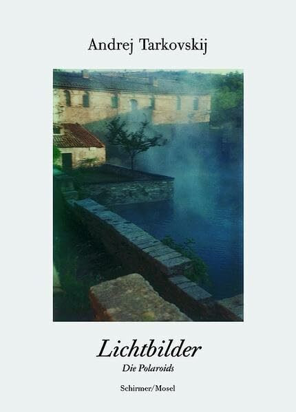 Lichtbilder: Die Polaroids: Die Polaroids. Hrsg. v. Giovanni Chiaramonte u. a. Eingel. v. Tonino Guerra