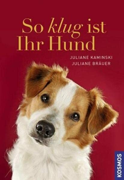 So klug ist Ihr Hund