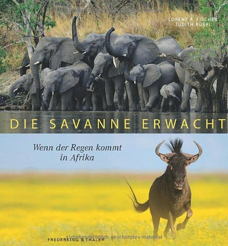 Die Savanne erwacht: Wenn der Regen kommt in Afrika