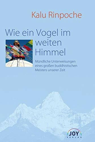 Wie ein Vogel im weiten Himmel: Mündliche Unterweisungen eines großen buddhistischen Meisters unserer Zeit
