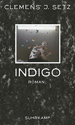 Indigo: Roman