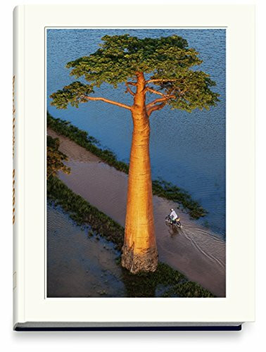 BAOBAB: Der Zauberbaum