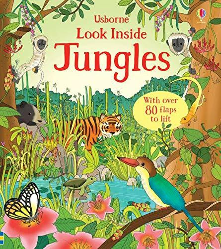 Look Inside the Jungle