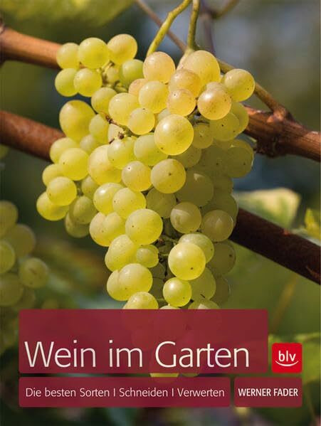 Wein im Garten: Die besten Sorten · Schneiden · Verwerten