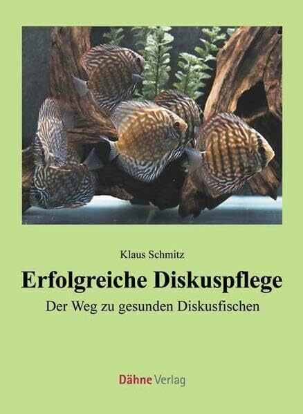 Erfolgreiche Diskuspflege: Der Weg zu gesunden Diskusfischen