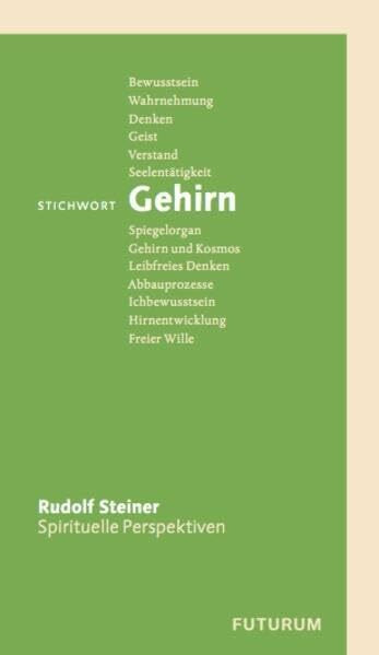 Stichwort Gehirn (Spirituelle Perspektiven)