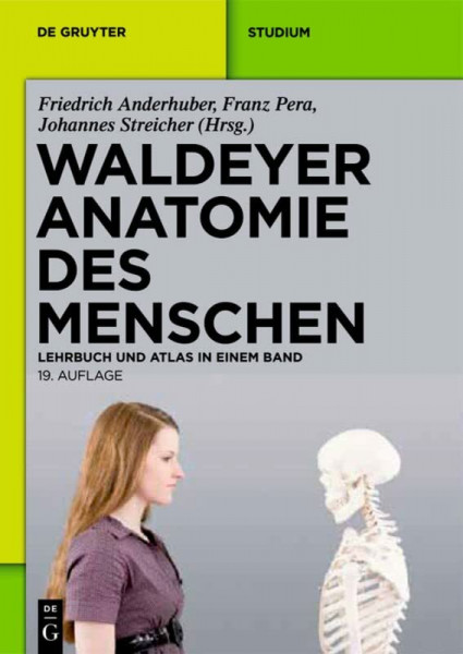 Waldeyer - Anatomie des Menschen: Lehrbuch und Atlas in einem Band (De Gruyter Studium)