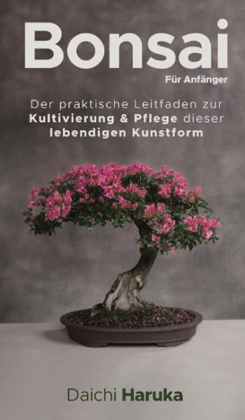 Bonsai für Anfänger